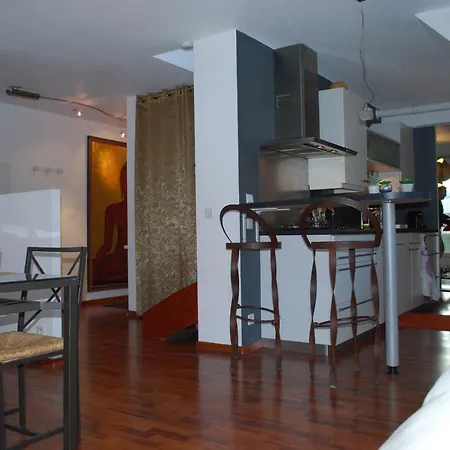 L'ideal Apartment Colmar